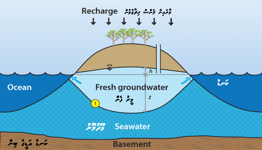 fglinahomogenousstripisland
