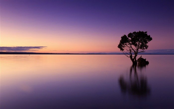 Purple_calm_ocean_dusk-Nature_Scenery_HD_Wallpaper_medium